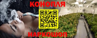стаф Рыбинск